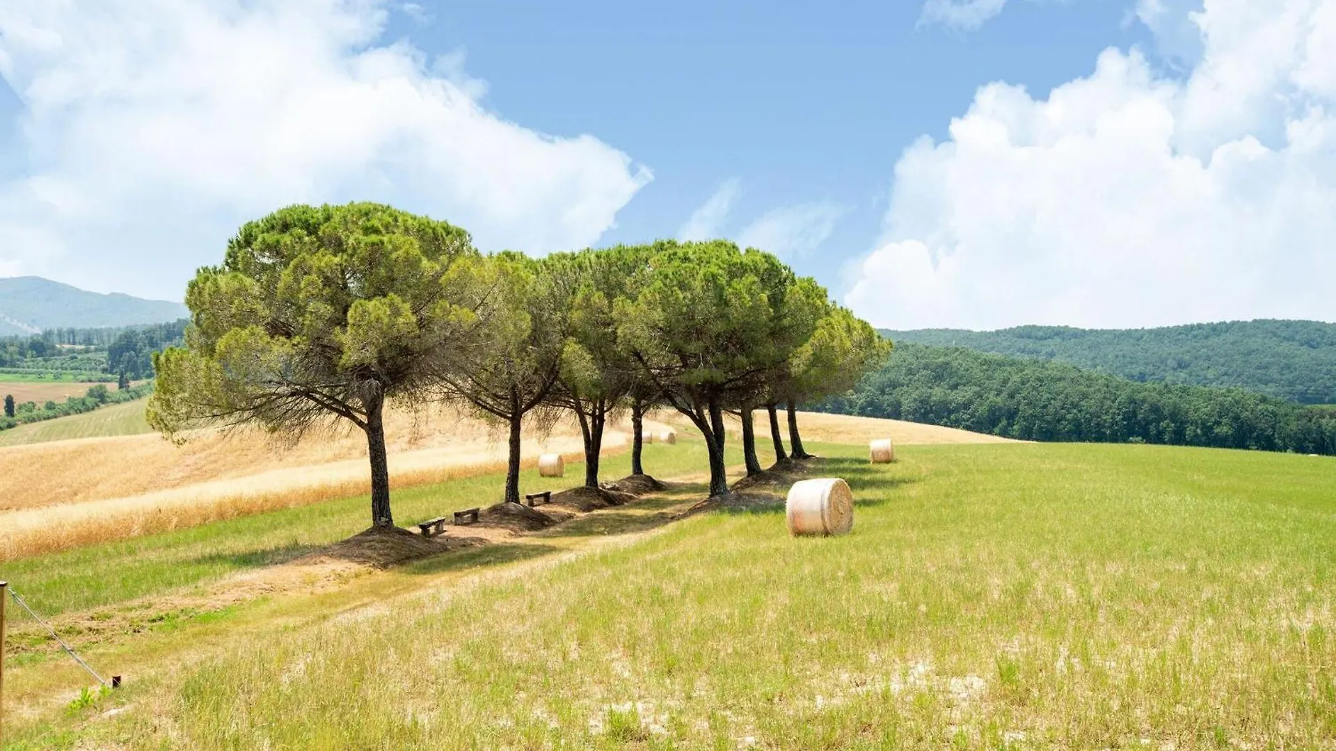 Сasa de vacaciones Appealing Apartment In Collesalvetti With Garden Nugola Italia